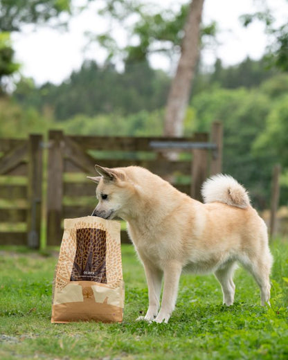 Essential OLDER - Alleinfuttermittel für ältere Hunde, getreide-, und füllstofffrei