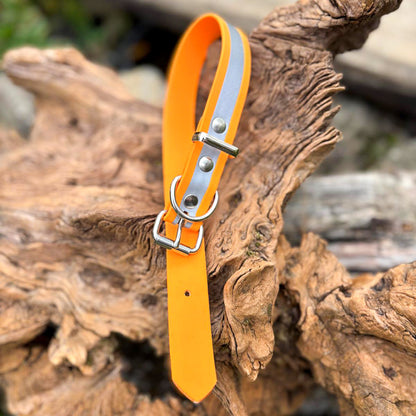 Reflektierendes Hundehalsband in leuchtendem Orange aus wetterfestem, antimikrobiellem BioThane®