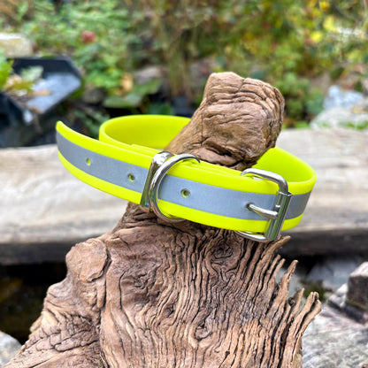 Reflektierendes Hundehalsband in leuchtendem Gelb aus wetterfestem, antimikrobiellem BioThane®