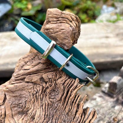 Reflektierendes Hundehalsband in leuchtendem Dunkelgrün aus wetterfestem, antimikrobiellem BioThane®