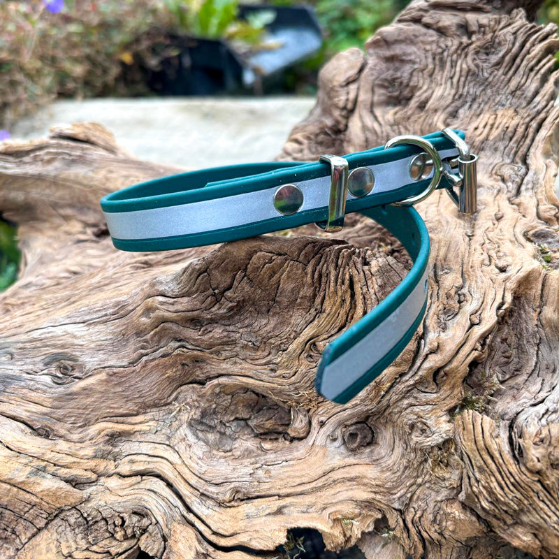 Reflektierendes Hundehalsband in leuchtendem Dunkelgrün aus wetterfestem, antimikrobiellem BioThane®