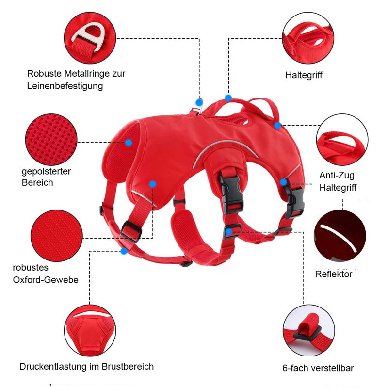 Sicherheits-/Panikgeschirr für Hunde