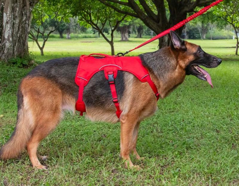 Sicherheits-/Panikgeschirr für Hunde