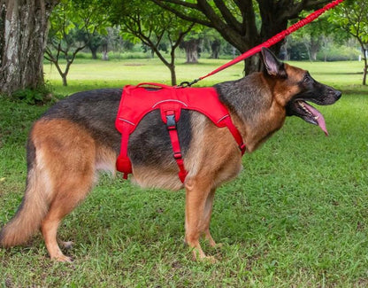 Sicherheits-/Panikgeschirr für Hunde