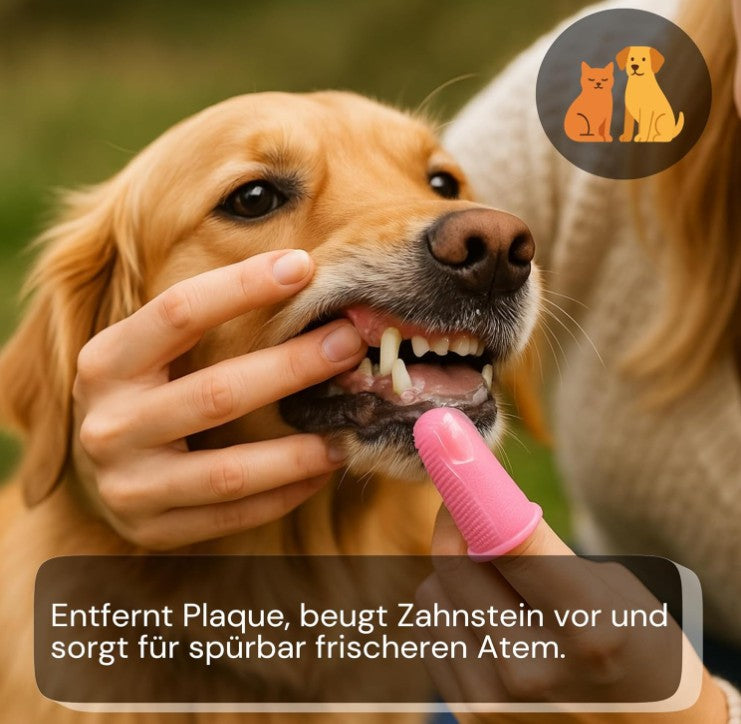 Zahngel, Karies, Zahnstein, Hund, Katze, Maulhygiene, Maulgeruch, Made in Germany, ohne Konservierungsstoffe
