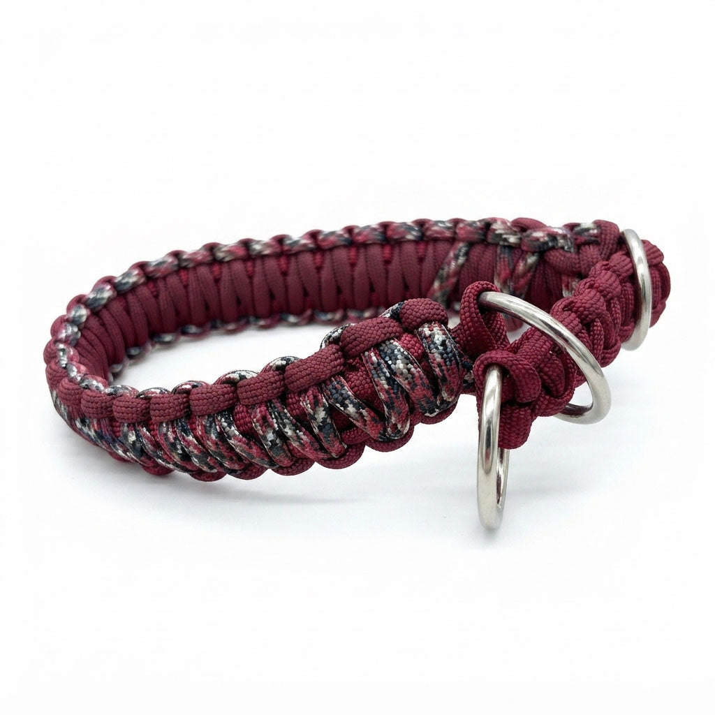 Hundehalsband Kemburn - Zugstopp - Unikat